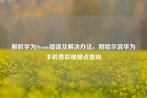 解析华为Steam错误及解决办法,附哈尔滨华为手机售后维修点查询