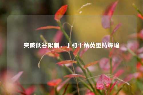 突破低谷限制,于和平精英重铸辉煌