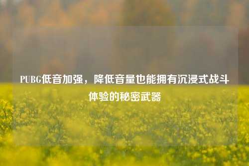 PUBG低音加强,降低音量也能拥有沉浸式战斗体验的秘密武器