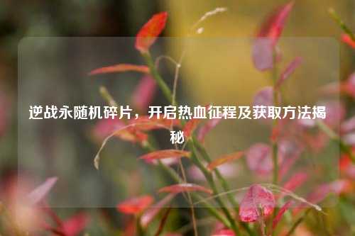逆战永随机碎片,开启热血征程及获取方法揭秘