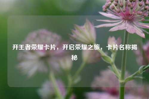 开王者荣耀卡片,开启荣耀之旅,卡片名称揭秘