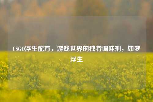 CSGO浮生配方,游戏世界的独特调味剂,如梦浮生