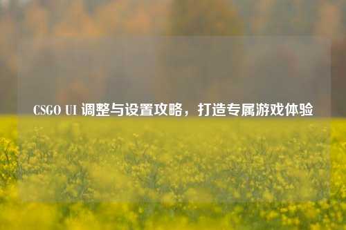 CSGO UI 调整与设置攻略，打造专属游戏体验