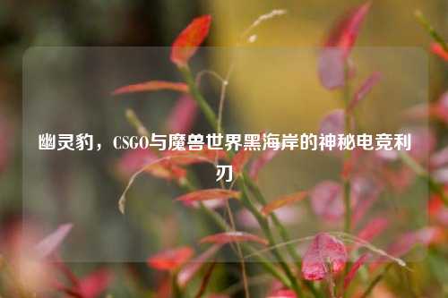 幽灵豹,CSGO与魔兽世界黑海岸的神秘电竞利刃