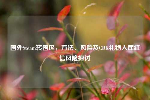 国外Steam转国区，方法、风险及CDK礼物入库红信风险探讨