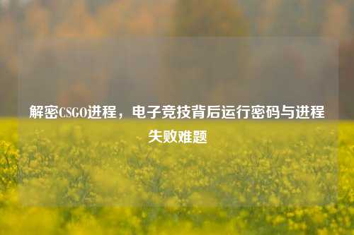解密CSGO进程,电子竞技背后运行密码与进程失败难题