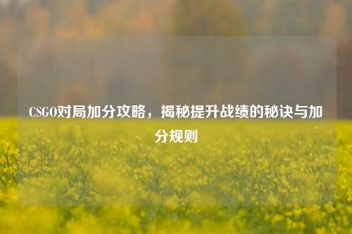 CSGO对局加分攻略,揭秘提升战绩的秘诀与加分规则