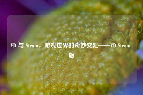 VD 与 Steam,游戏世界的奇妙交汇——VD Steam 版