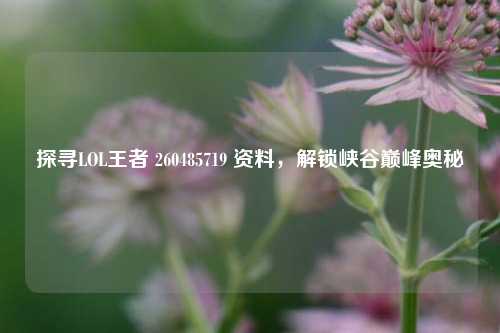 探寻LOL王者 260485719 资料，解锁峡谷巅峰奥秘