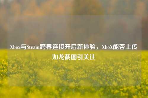 Xbox与Steam跨界连接开启新体验,XboX能否上传如龙截图引关注