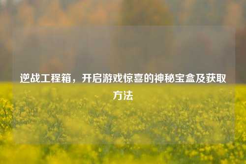 逆战工程箱,开启游戏惊喜的神秘宝盒及获取方法