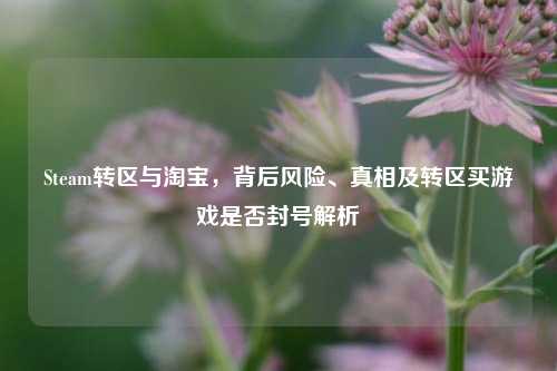 Steam转区与淘宝,背后风险、真相及转区买游戏是否封号解析