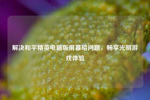 解决和平精英电脑版屏幕暗问题,畅享光明游戏体验