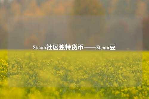 Steam社区独特货币——Steam豆