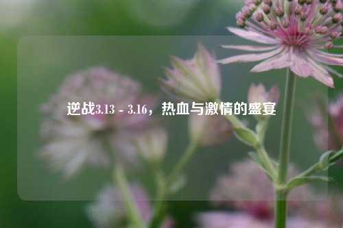 逆战3.13 - 3.16,热血与激情的盛宴
