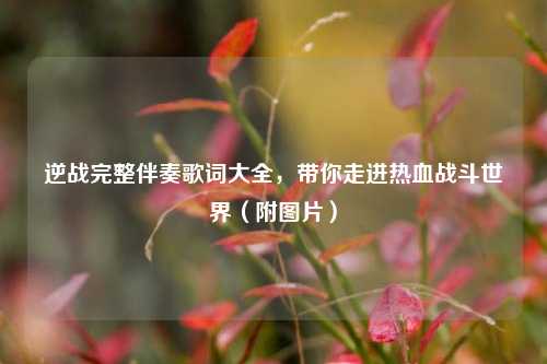 逆战完整伴奏歌词大全，带你走进热血战斗世界（附图片）