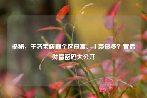 揭秘,王者荣耀哪个区最富、土豪最多?背后财富密码大公开