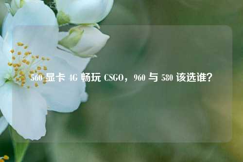 560 显卡 4G 畅玩 CSGO,960 与 580 该选谁?