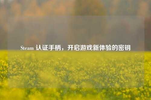 Steam 认证手柄，开启游戏新体验的密钥