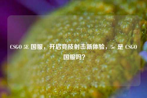 CSGO 5E 国服,开启竞技射击新体验,5e 是 CSGO 国服吗?