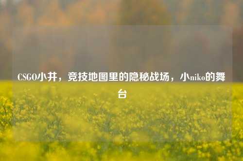 CSGO小井，竞技地图里的隐秘战场，小niko的舞台