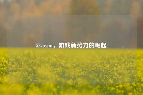 58steam,游戏新势力的崛起