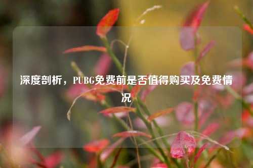 深度剖析,PUBG免费前是否值得购买及免费情况