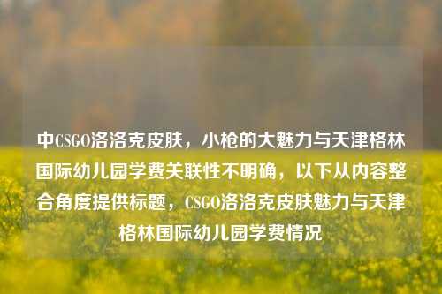 中CSGO洛洛克皮肤,小枪的大魅力与天津格林国际幼儿园学费关联性不明确,以下从内容整合角度提供标题,CSGO洛洛克皮肤魅力与天津格林国际幼儿园学费情况