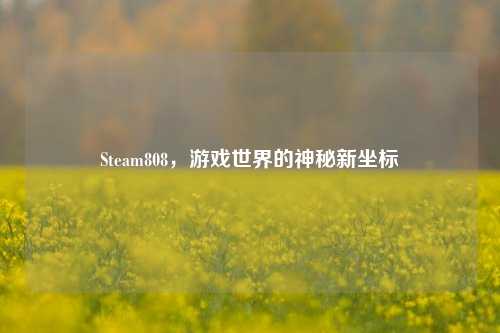 Steam808,游戏世界的神秘新坐标