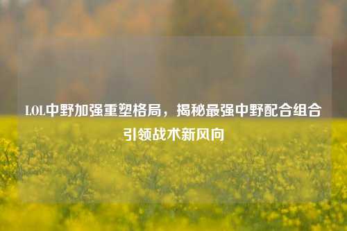 LOL中野加强重塑格局,揭秘最强中野配合组合引领战术新风向