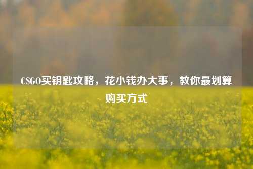 CSGO买钥匙攻略,花小钱办大事,教你最划算购买方式