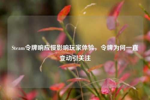 Steam令牌响应慢影响玩家体验,令牌为何一直变动引关注