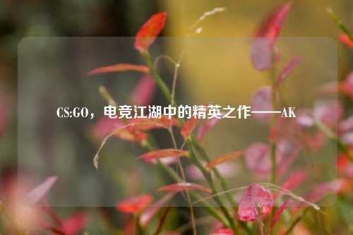 CS:GO,电竞江湖中的精英之作——AK
