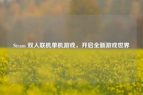 Steam 双人联机单机游戏,开启全新游戏世界