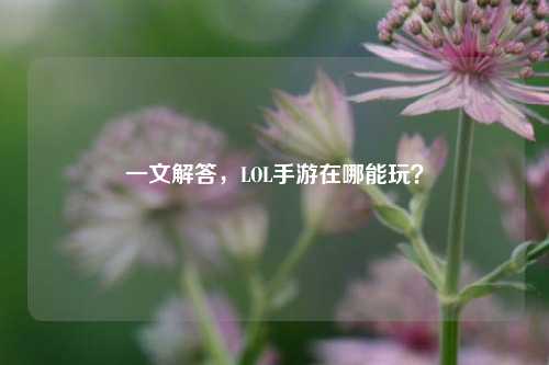 一文解答,LOL手游在哪能玩?