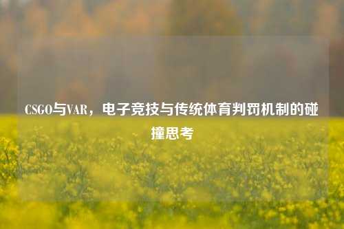 CSGO与VAR,电子竞技与传统体育判罚机制的碰撞思考