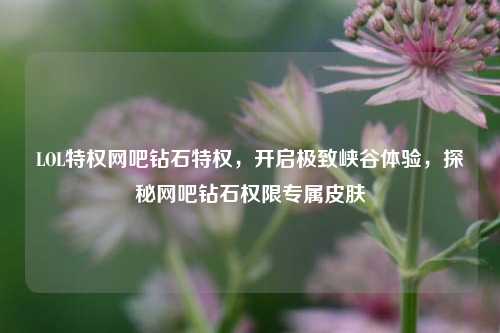 LOL特权网吧钻石特权,开启极致峡谷体验,探秘网吧钻石权限专属皮肤