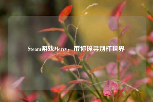 Steam游戏Mercy,带你探寻别样世界