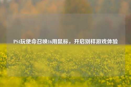 PS4玩使命召唤16用鼠标,开启别样游戏体验
