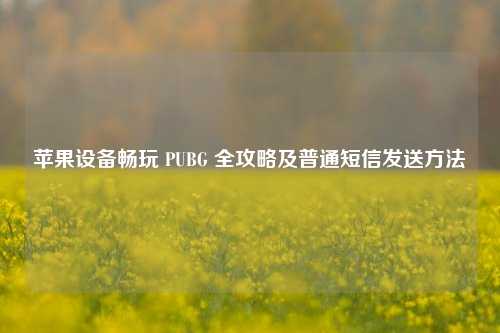 苹果设备畅玩 PUBG 全攻略及普通短信发送方法