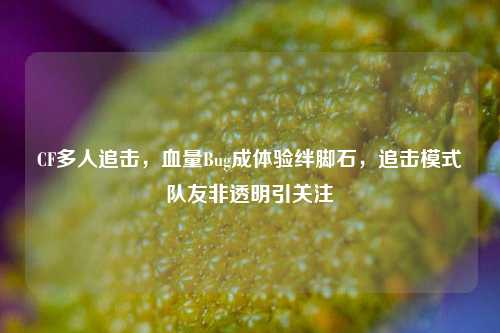 CF多人追击，血量Bug成体验绊脚石，追击模式队友非透明引关注