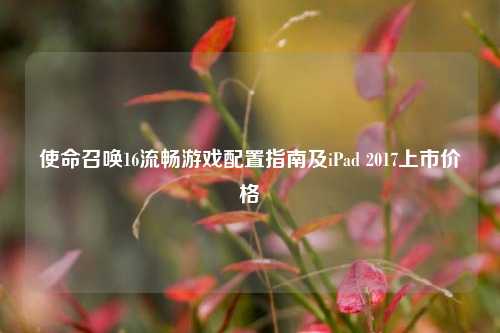使命召唤16流畅游戏配置指南及iPad 2017上市价格