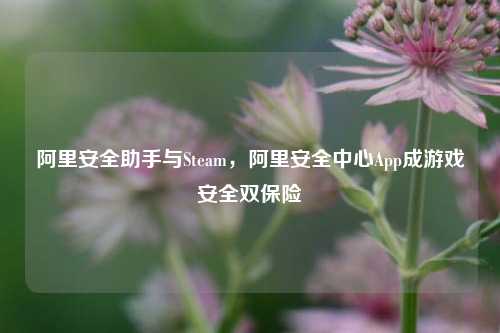 阿里安全助手与Steam，阿里安全中心App成游戏安全双保险