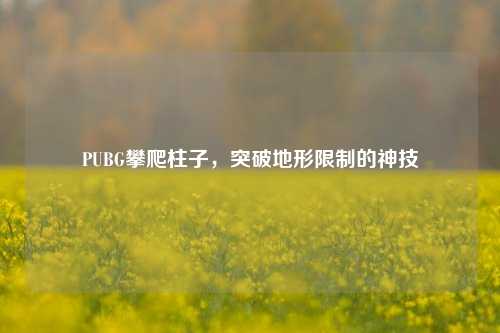 PUBG攀爬柱子，突破地形限制的神技
