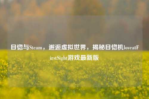 目惚与Steam，邂逅虚拟世界，揭秘目惚机loveatFirstSight游戏最新版