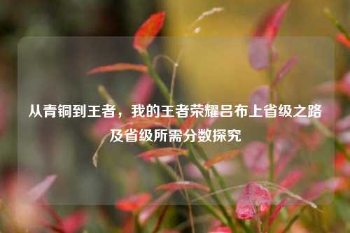 从青铜到王者,我的王者荣耀吕布上省级之路及省级所需分数探究