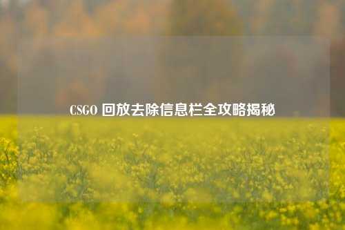 CSGO 回放去除信息栏全攻略揭秘