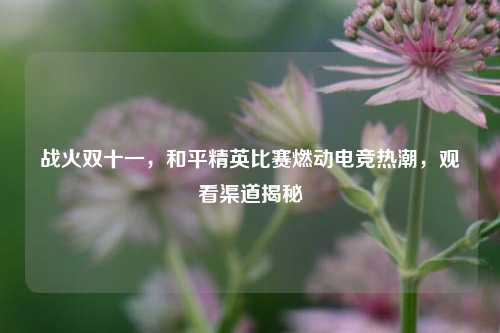 战火双十一,和平精英比赛燃动电竞热潮,观看渠道揭秘