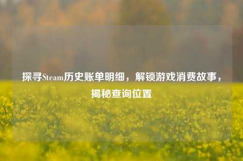 探寻Steam历史账单明细,解锁游戏消费故事,揭秘查询位置