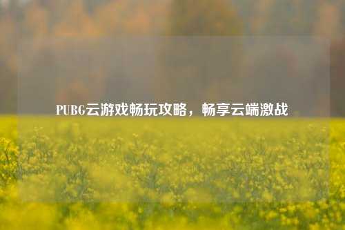 PUBG云游戏畅玩攻略,畅享云端激战
